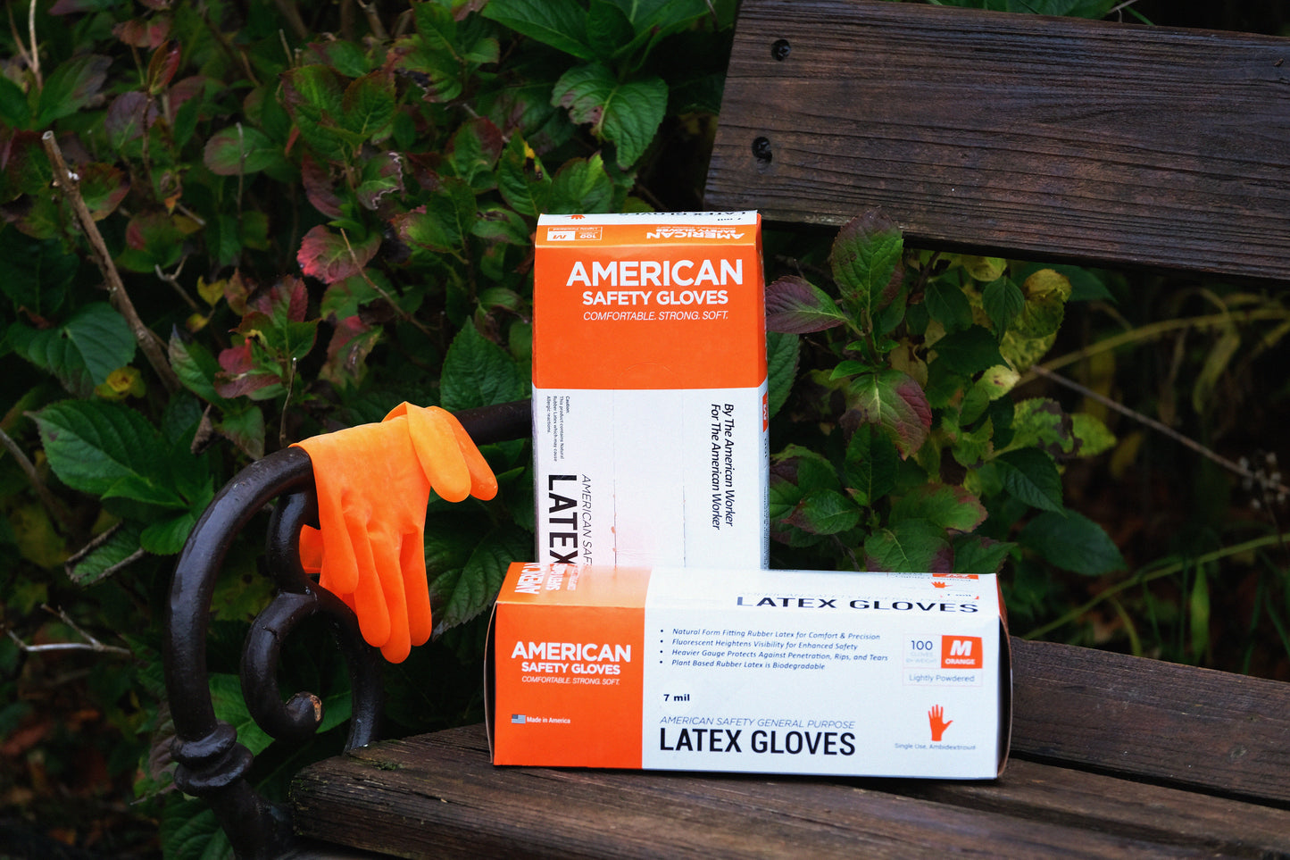 American Safety Glove - Master Case